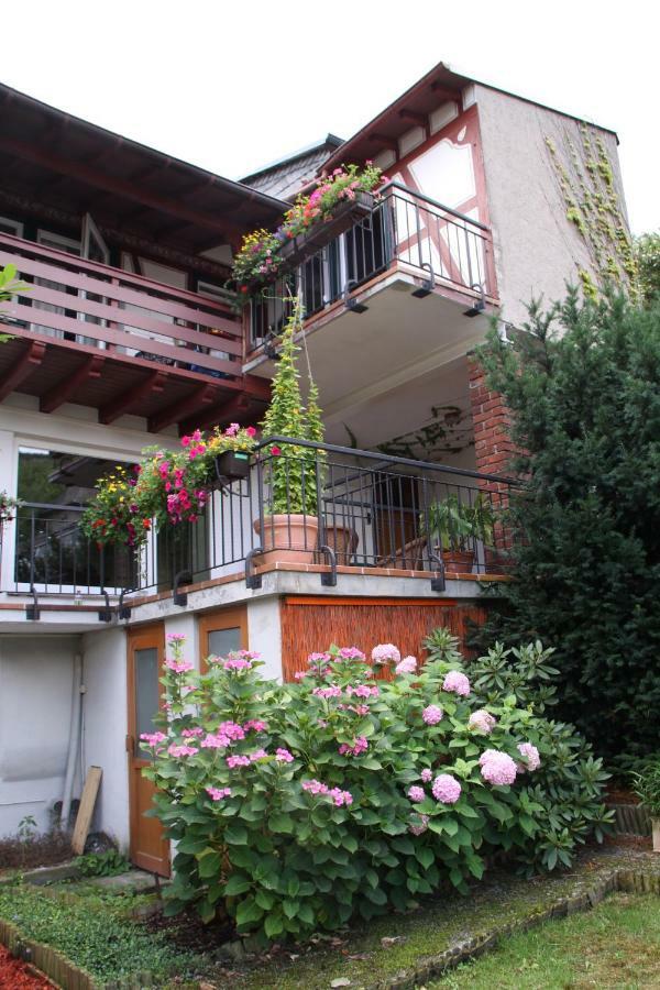 Apartment Feldhege *